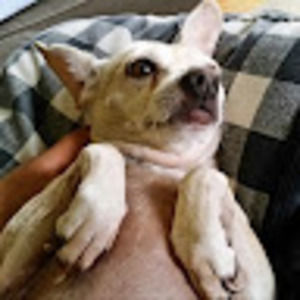 Meet your Posher, Mr